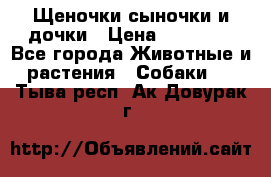 Щеночки-сыночки и дочки › Цена ­ 30 000 - Все города Животные и растения » Собаки   . Тыва респ.,Ак-Довурак г.